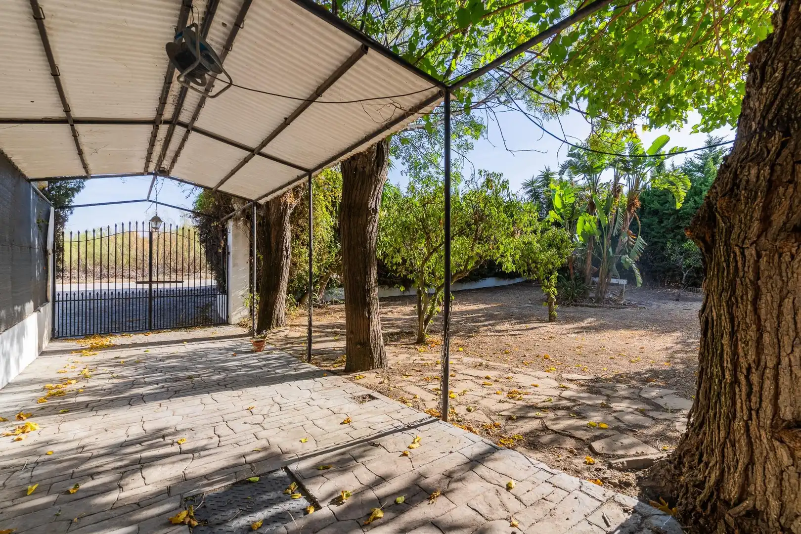 Maison à vendre à Ctra Sanlúcar - Cuatro Pinos, imagen 10