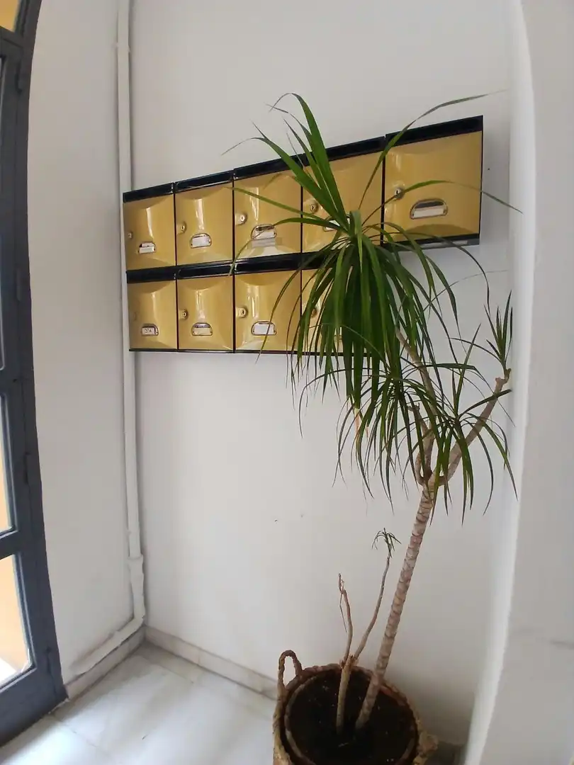 Flat for rent in La Victoria