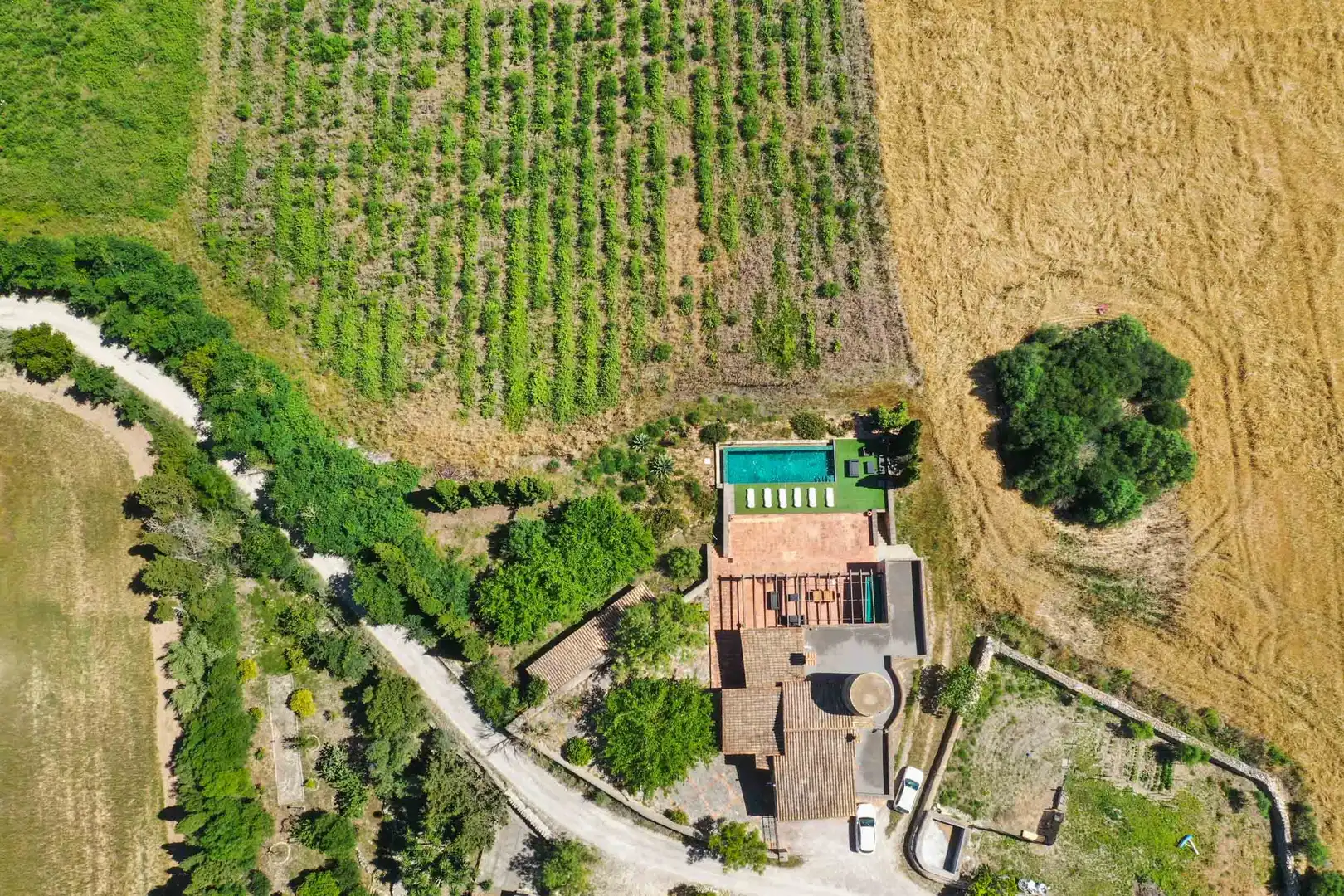 Jardí de Finca rústica en venda en Felanitx amb Traster, Piscina i Moblat