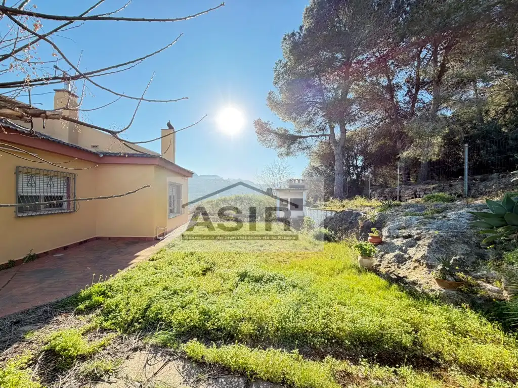Vista exterior de Casa o chalet en venta en Alzira