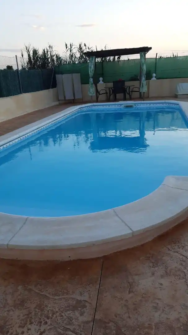 Piscina de Casa o chalet en venta en Elche / Elx con Terraza, Piscina y Amueblado