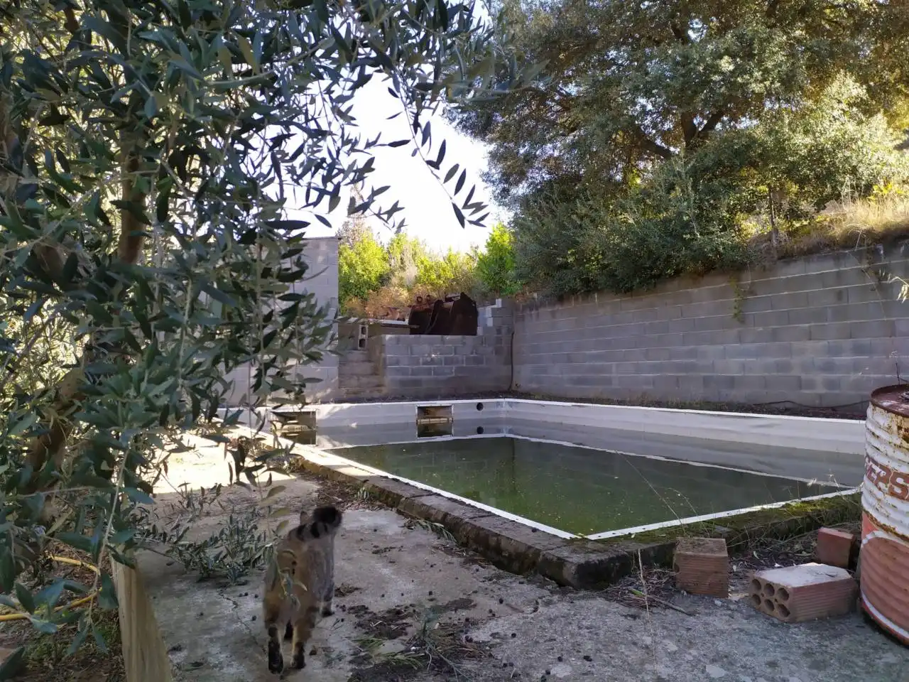 Piscina de Terreno en venta en Albelda