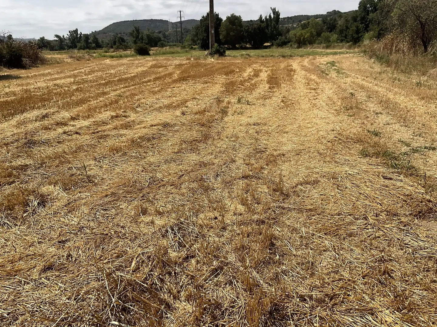 Terreni e lotti in vendita a El Grado, imagen 4