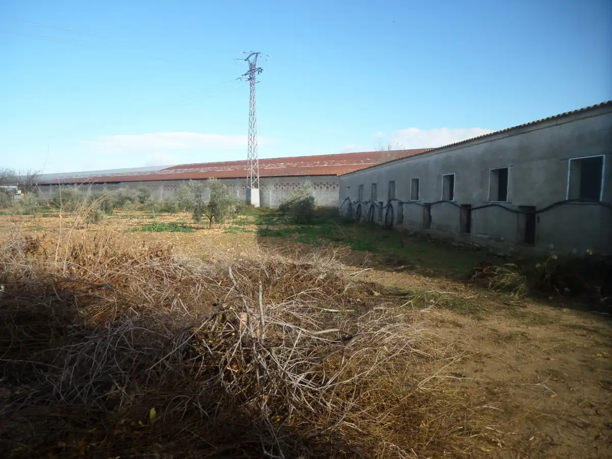 Nau industrial en venda a Tomelloso, imagen 4