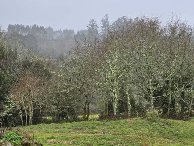 Finca rústica en Venta en Cerceda