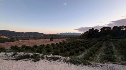 Foto 4 de Finca rústica en venta en Mula, Murcia