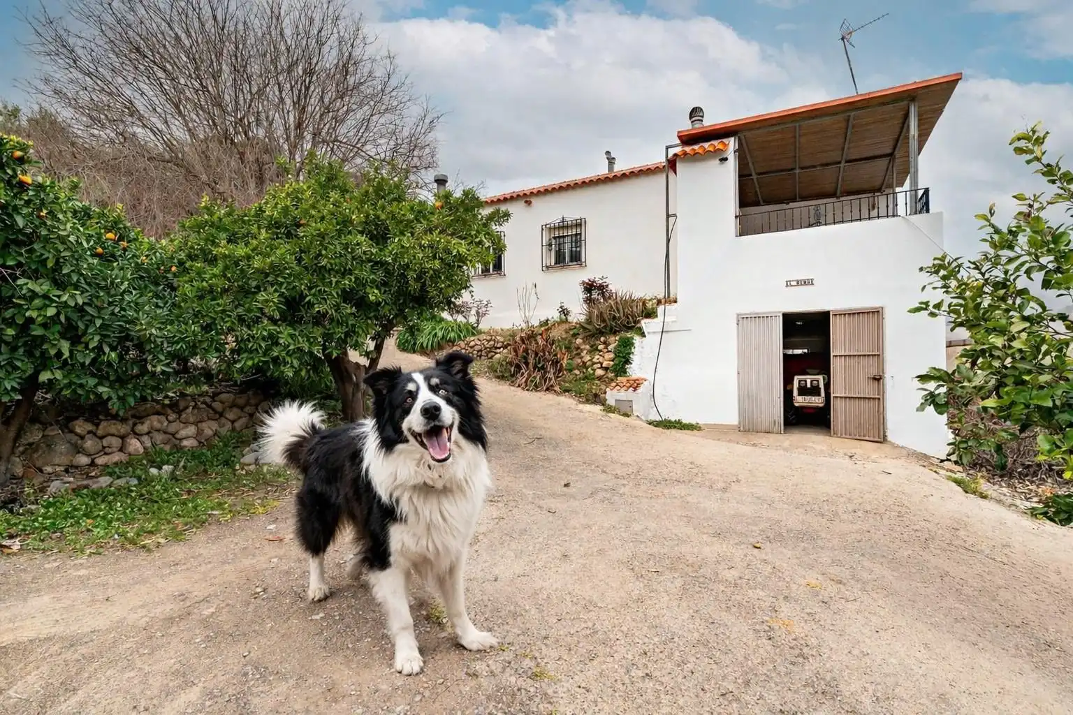 Detached house for sale in Canjáyar
