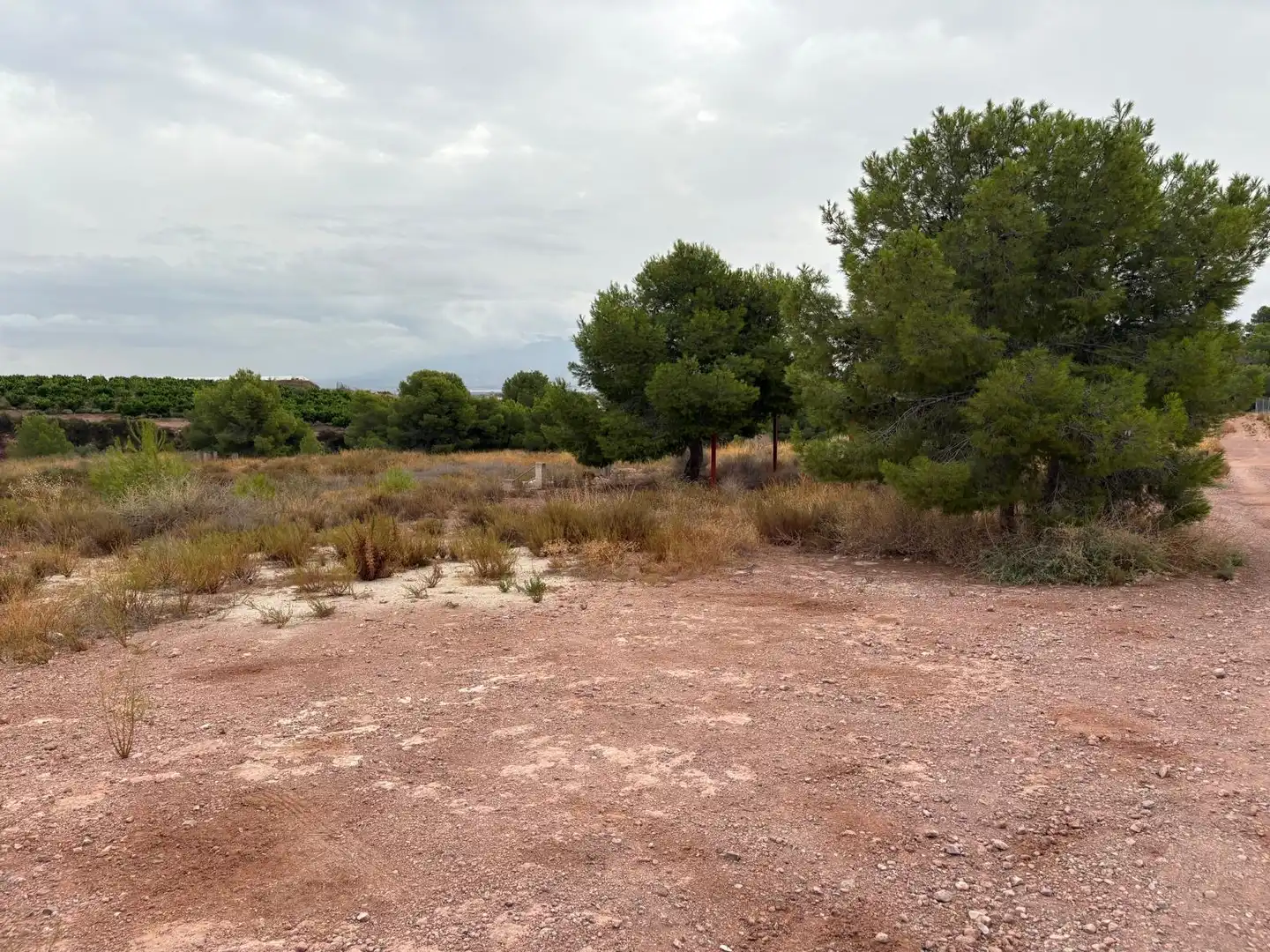 Terreni e lotti in vendita a Alhama de Murcia ciudad, imagen 4