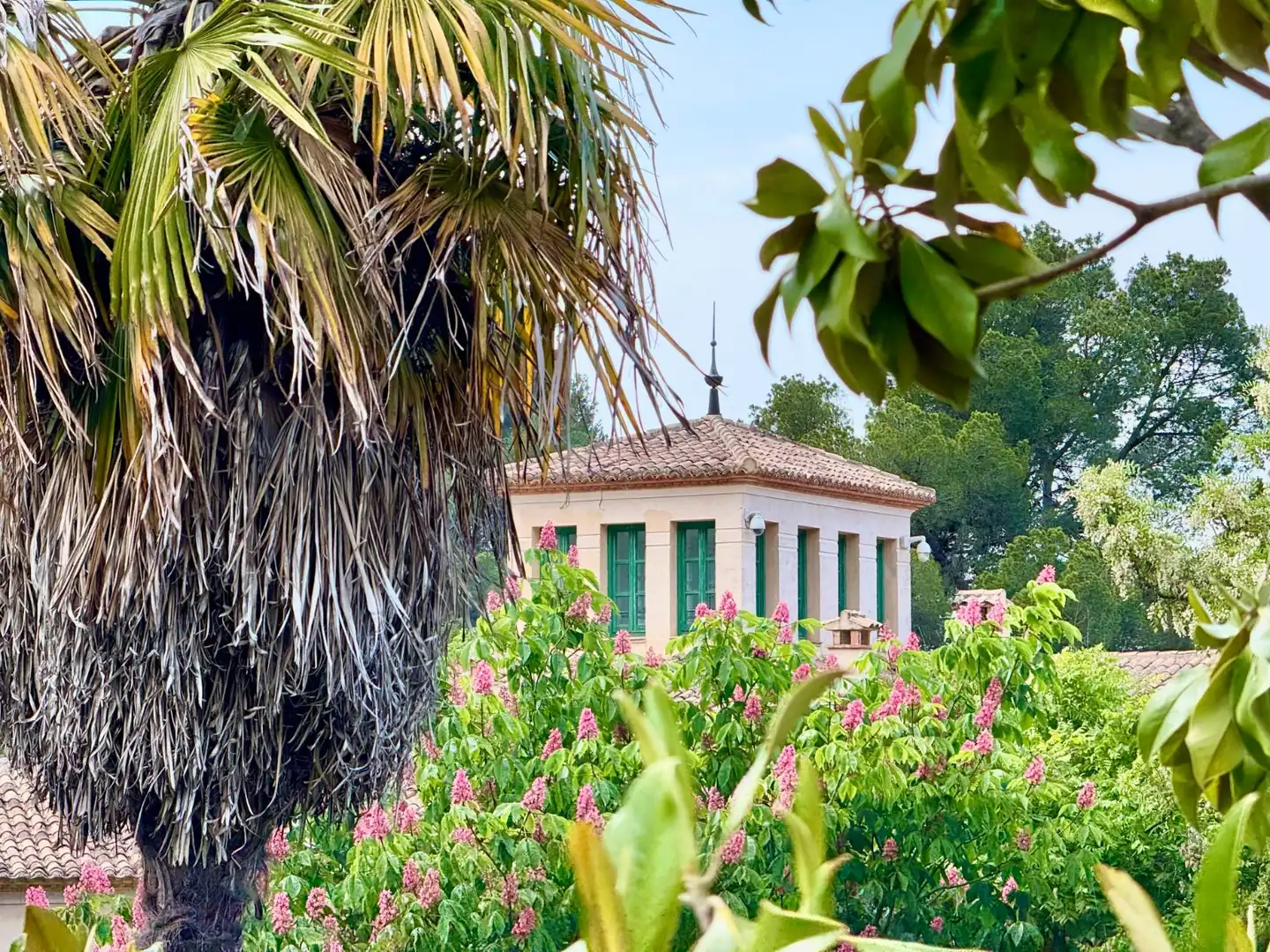 Vista exterior de Finca rústica en venda en Alcoleja amb Aire condicionat, Jardí privat i Terrassa