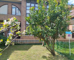 Garden of Single-family semi-detached for sale in Laredo  with Heating and Private garden