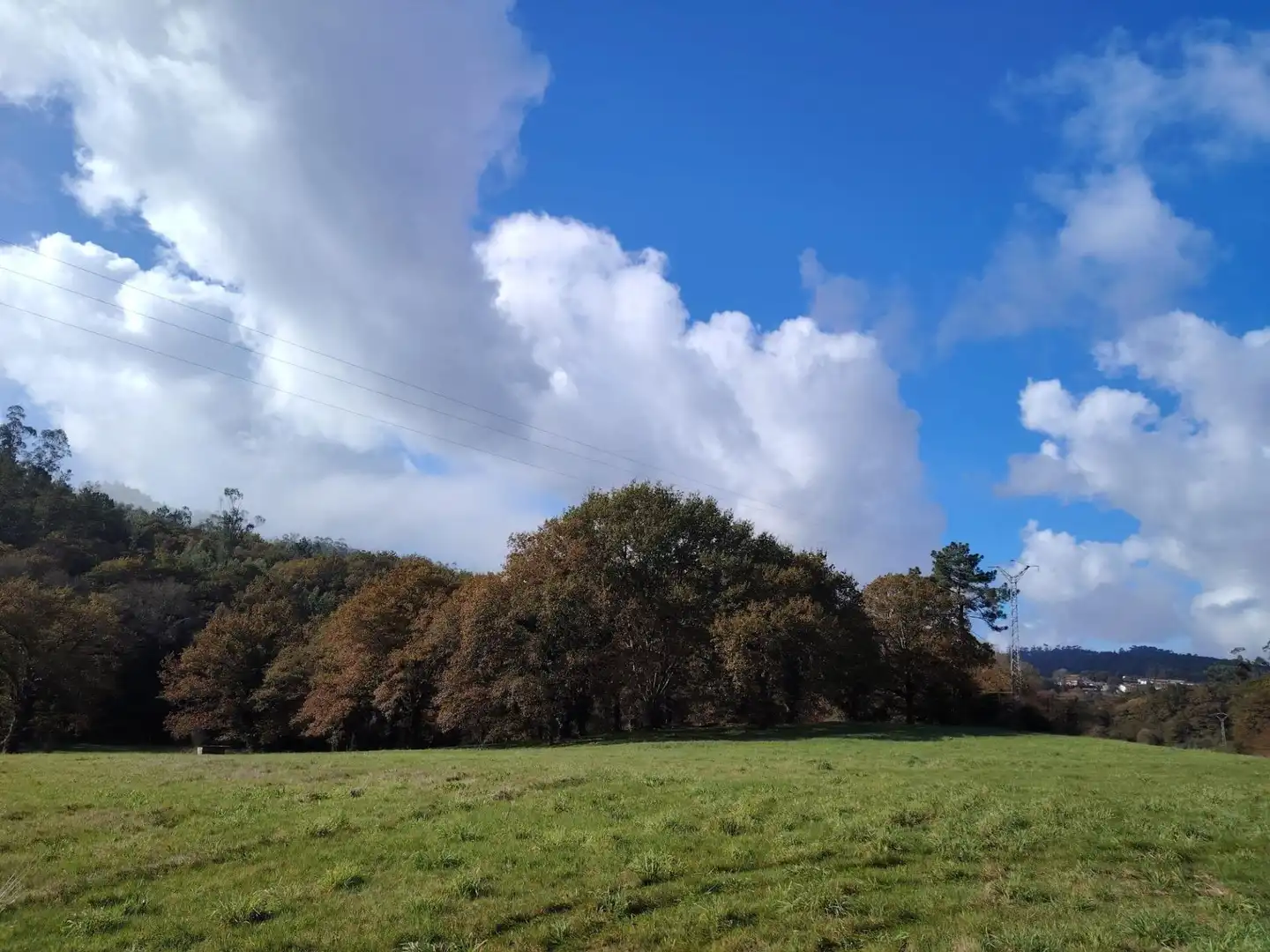 Country homes for sale in Negreira
