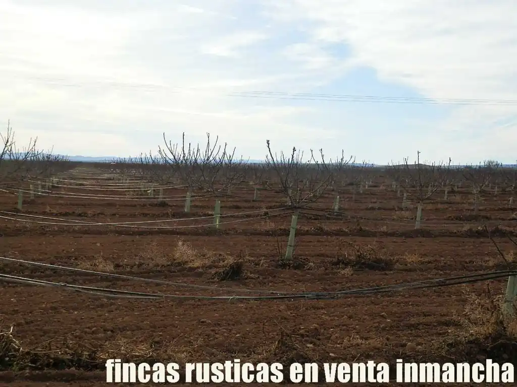 Vista exterior de Terreno en venta en Albacete