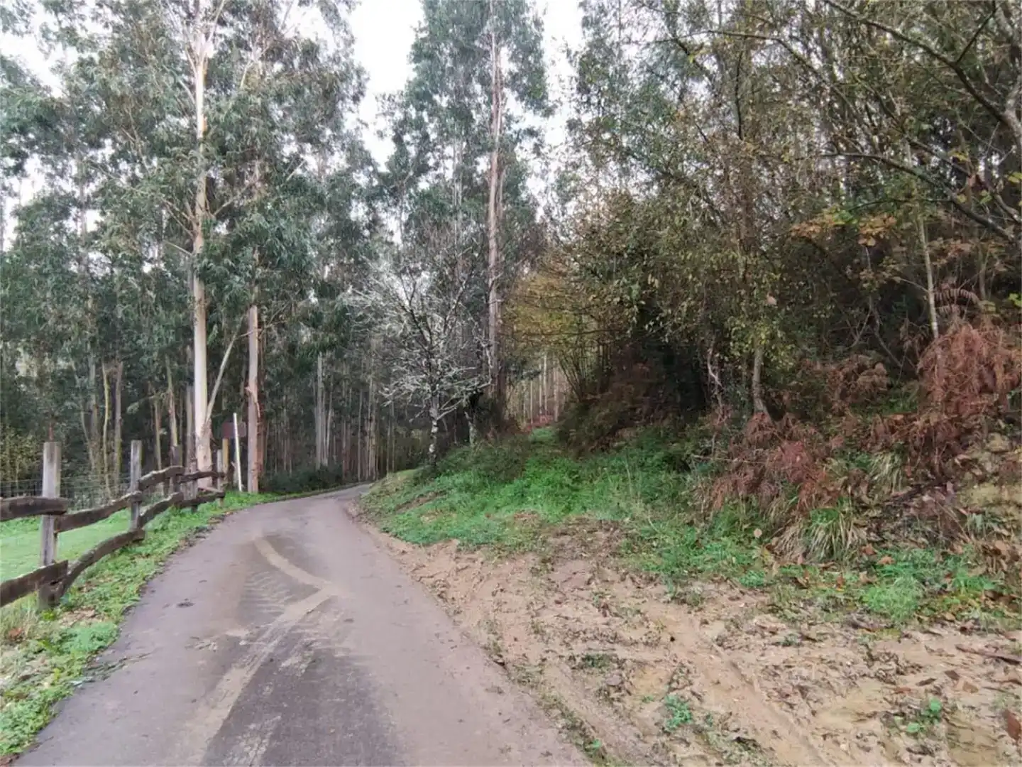 Vista exterior de Finca rústica en venda en Soto del Barco