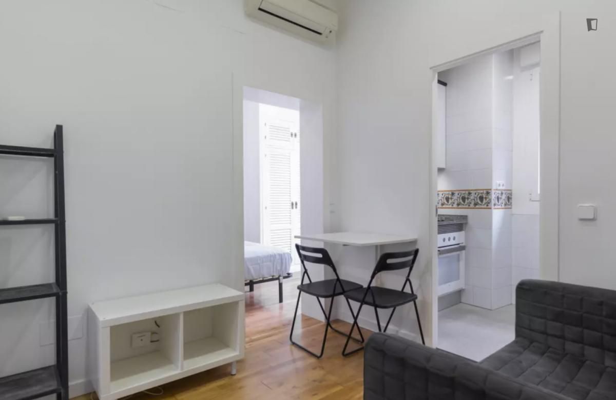 Apartament de lloguer a Embajadores - Lavapiés