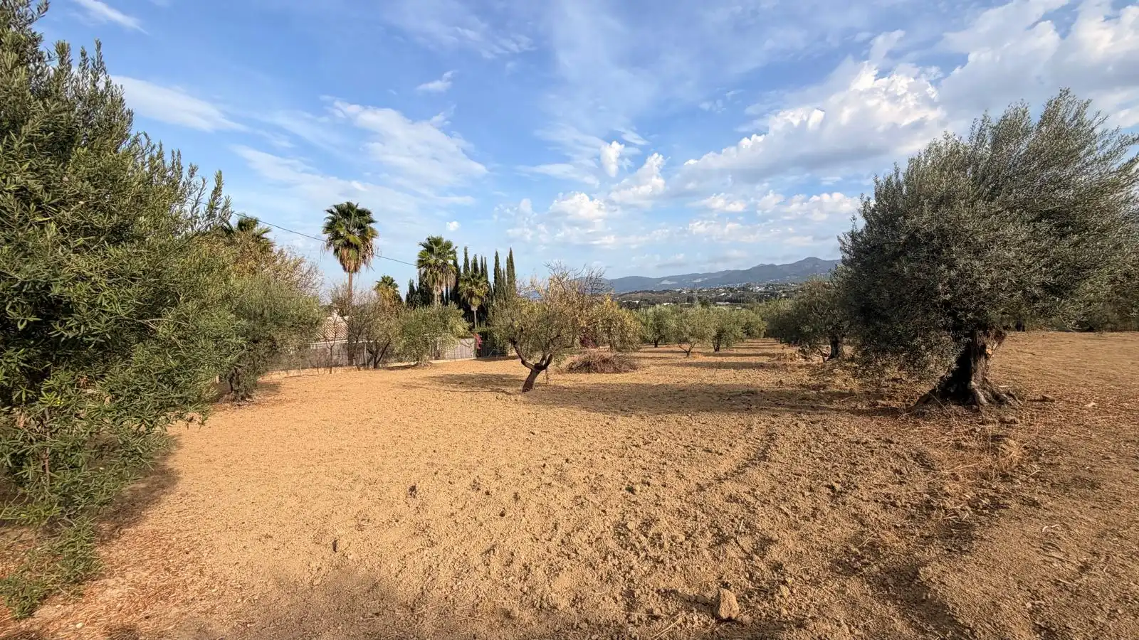 Rural land for sale in El Romeral - Peñón de Zapata