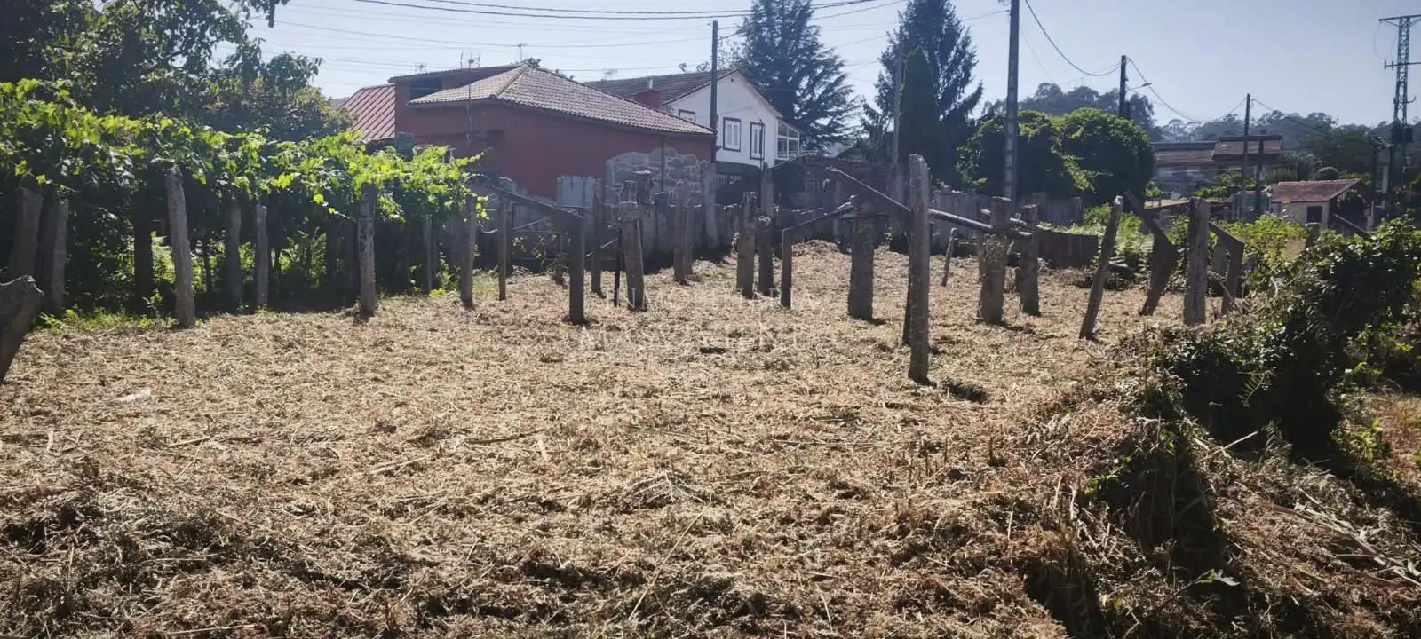 Terreni e lotti in vendita a Agro (O)-Parderrubias