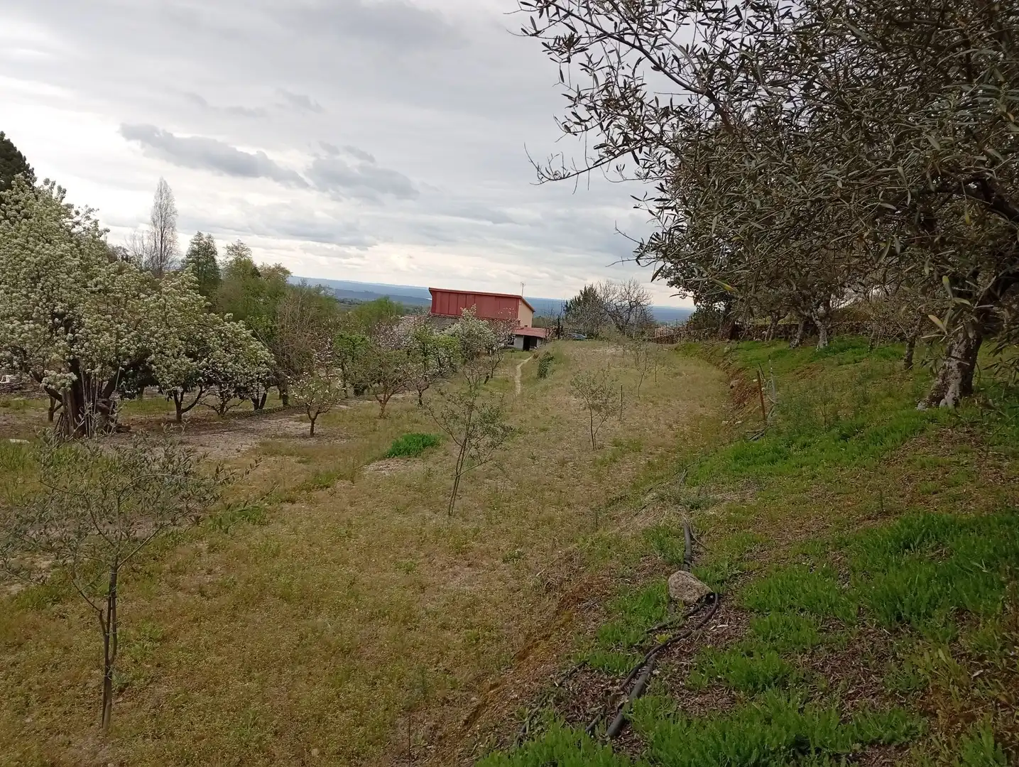 Terreni e lotti in vendita a Villanueva de la Vera, imagen 22