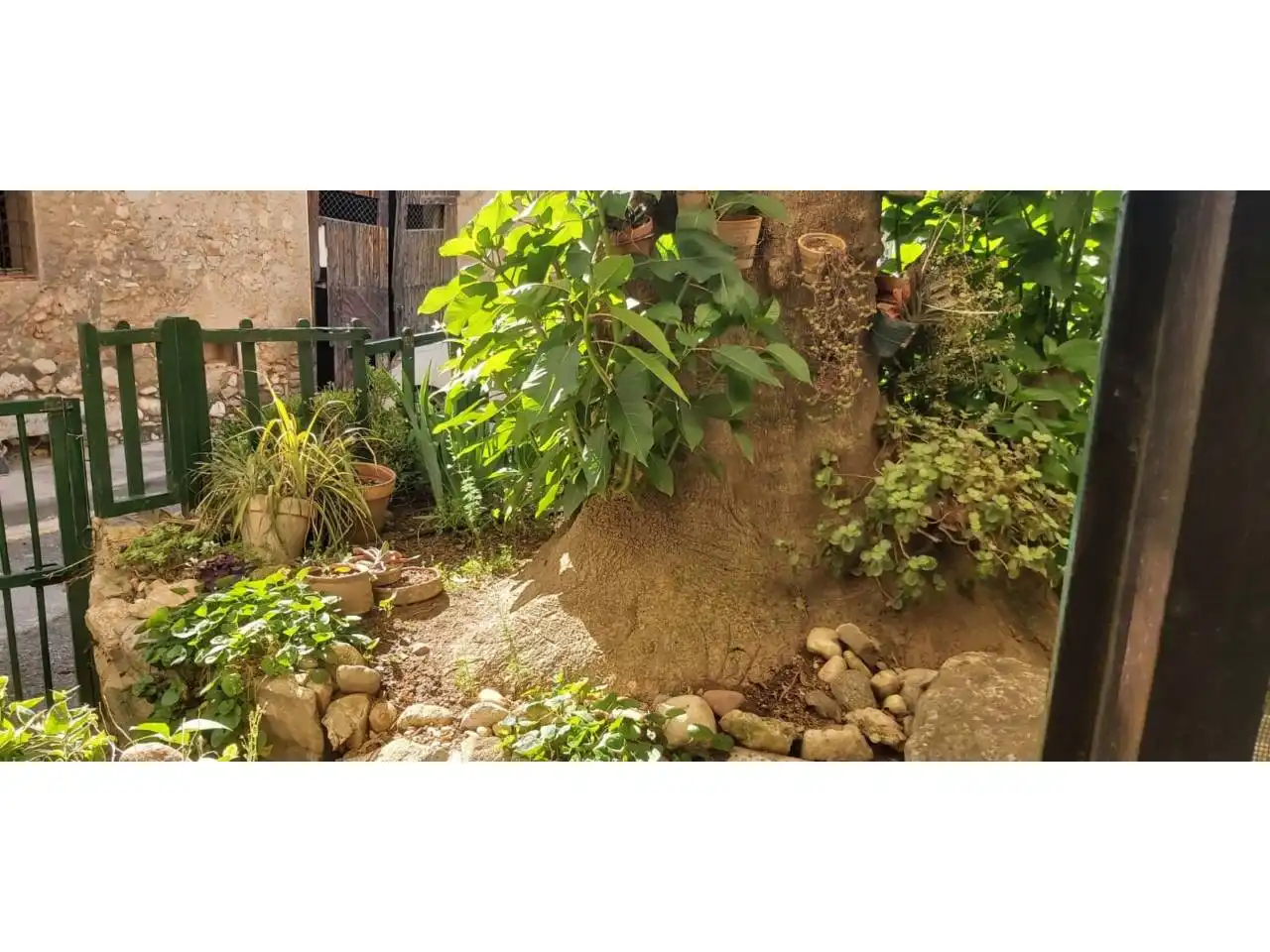 Jardí de Casa o xalet en venda en Alcover amb Jardí privat i Terrassa