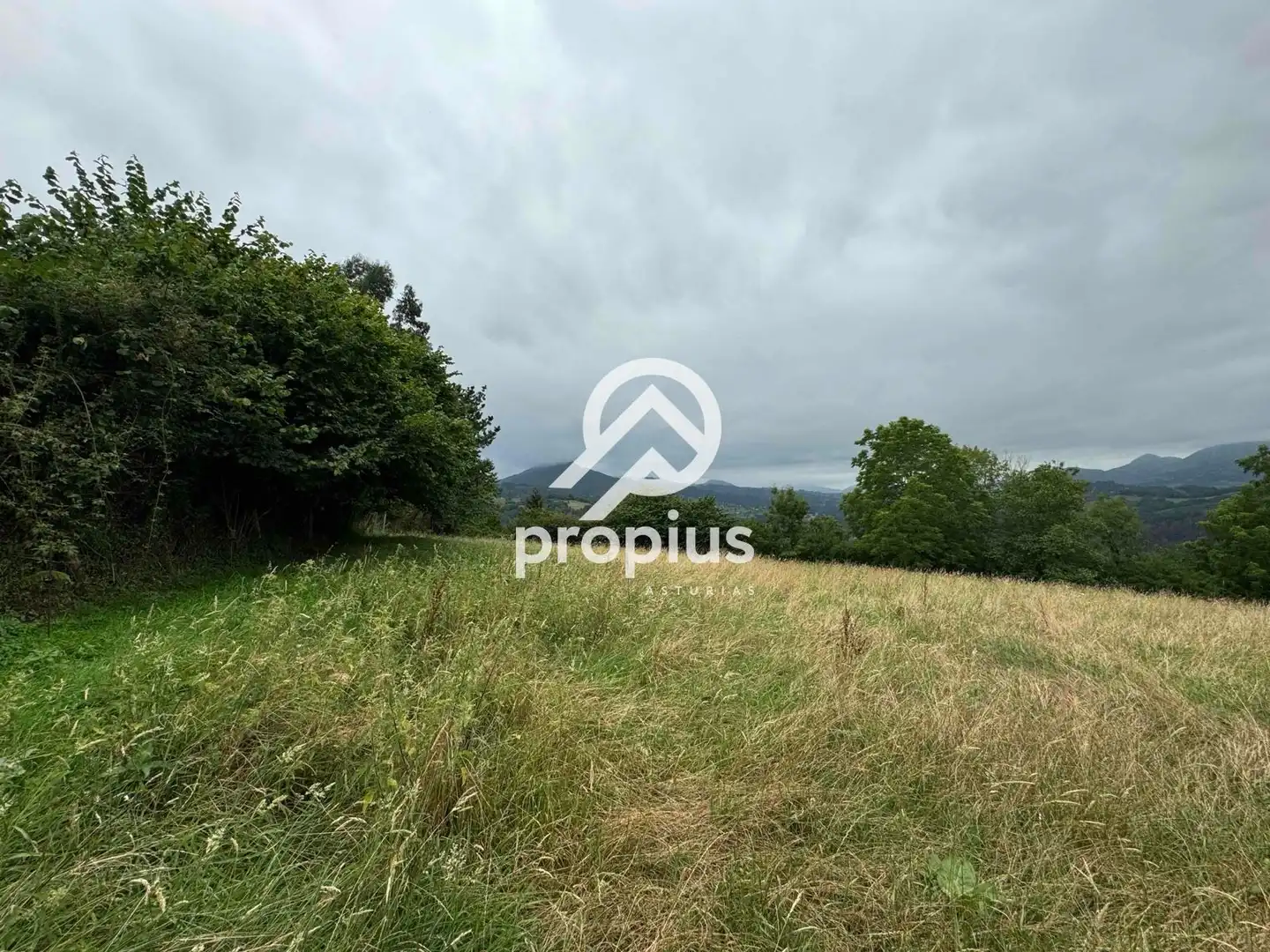 Rural land for sale in Arenas, imagen 10