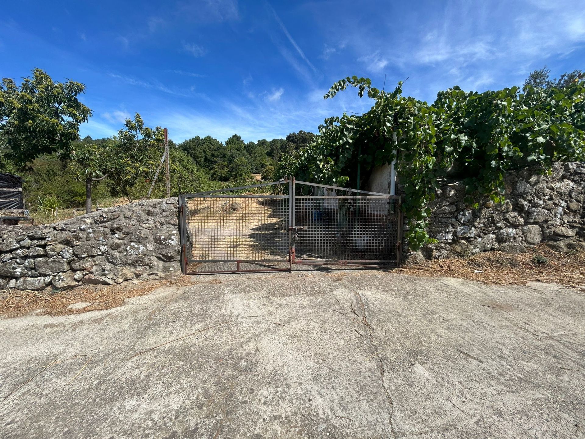 Terreno en venta en Villamiel