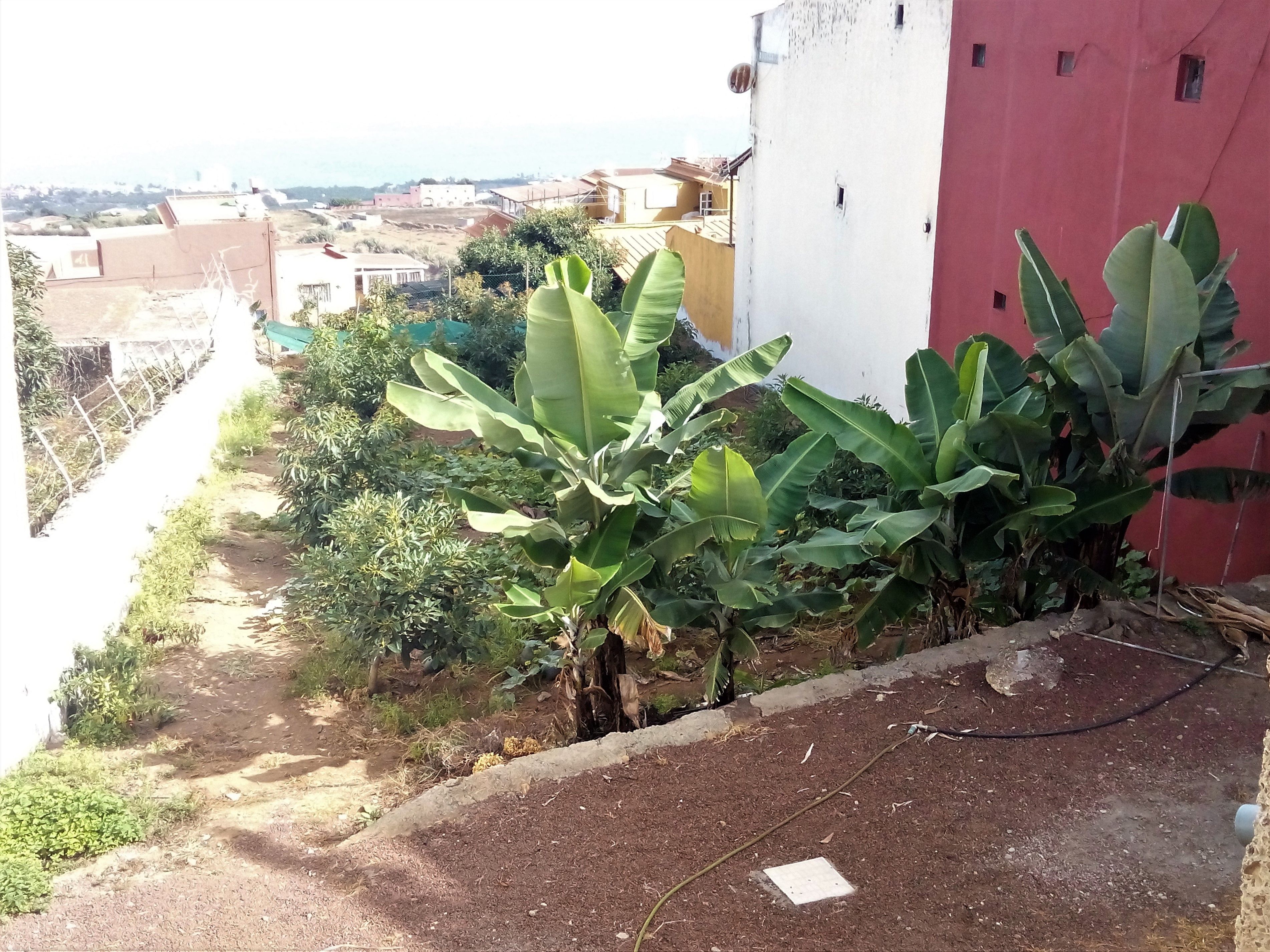 House or chalet for sale in Calle Mencey Añaterve, 32, Cruz Santa, Los Realejos