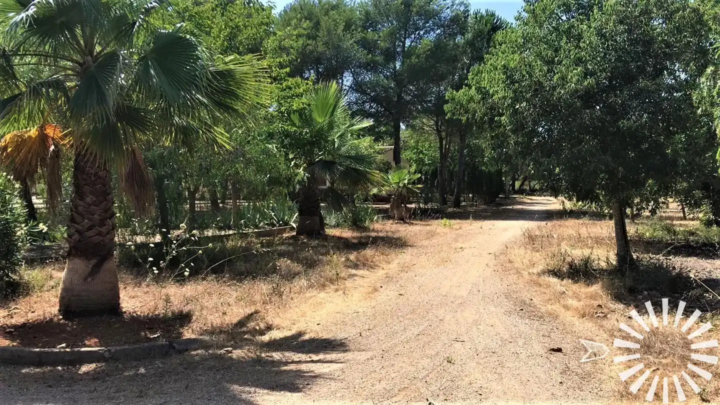 Maison avec piscine à louer à Camí de Son Servera, imagen 30