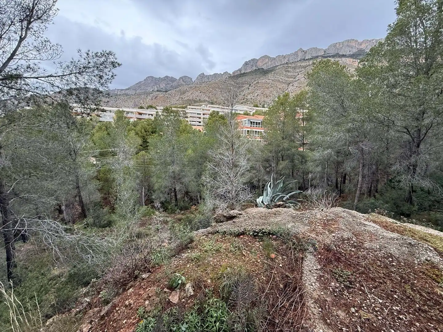 Terreny residencial en venda a Erica, imagen 11
