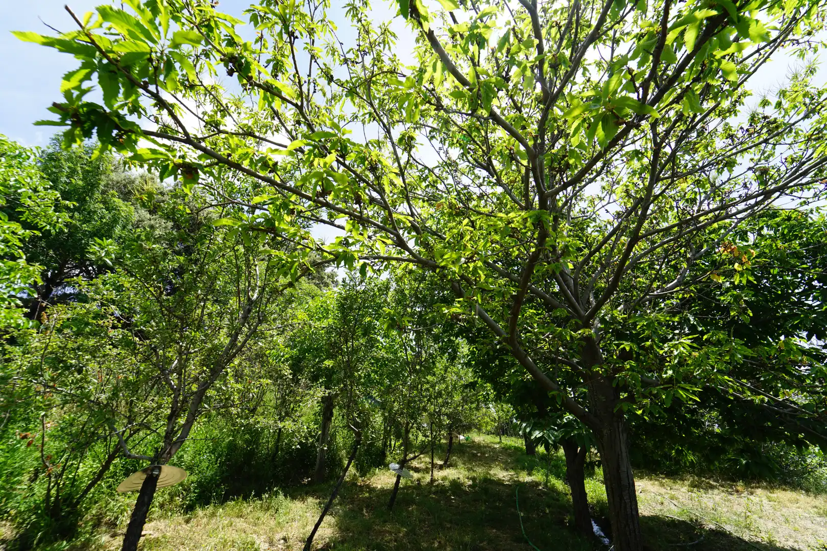 Finca rústica en venda en La Taha amb Terrassa i Moblat