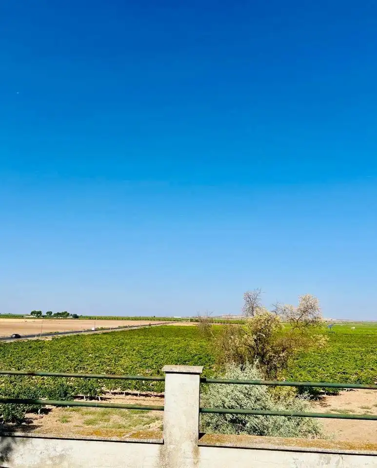 Finca rústica en venta en Campo de Criptana con Jardín privado, Terraza y Piscina