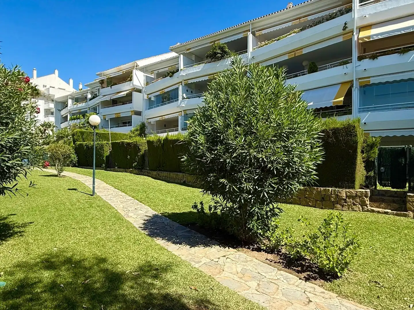 Baixos amb piscina de lloguer a San Pedro de Alcántara, imagen 5