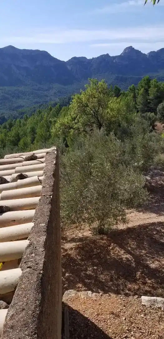 Vista exterior de Finca rústica en venda en Amposta