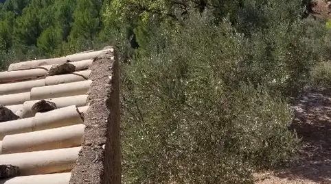 Foto 4 de Finca rústica en venda a Carrer Barcelona, Valletes - Xiribecs, Amposta