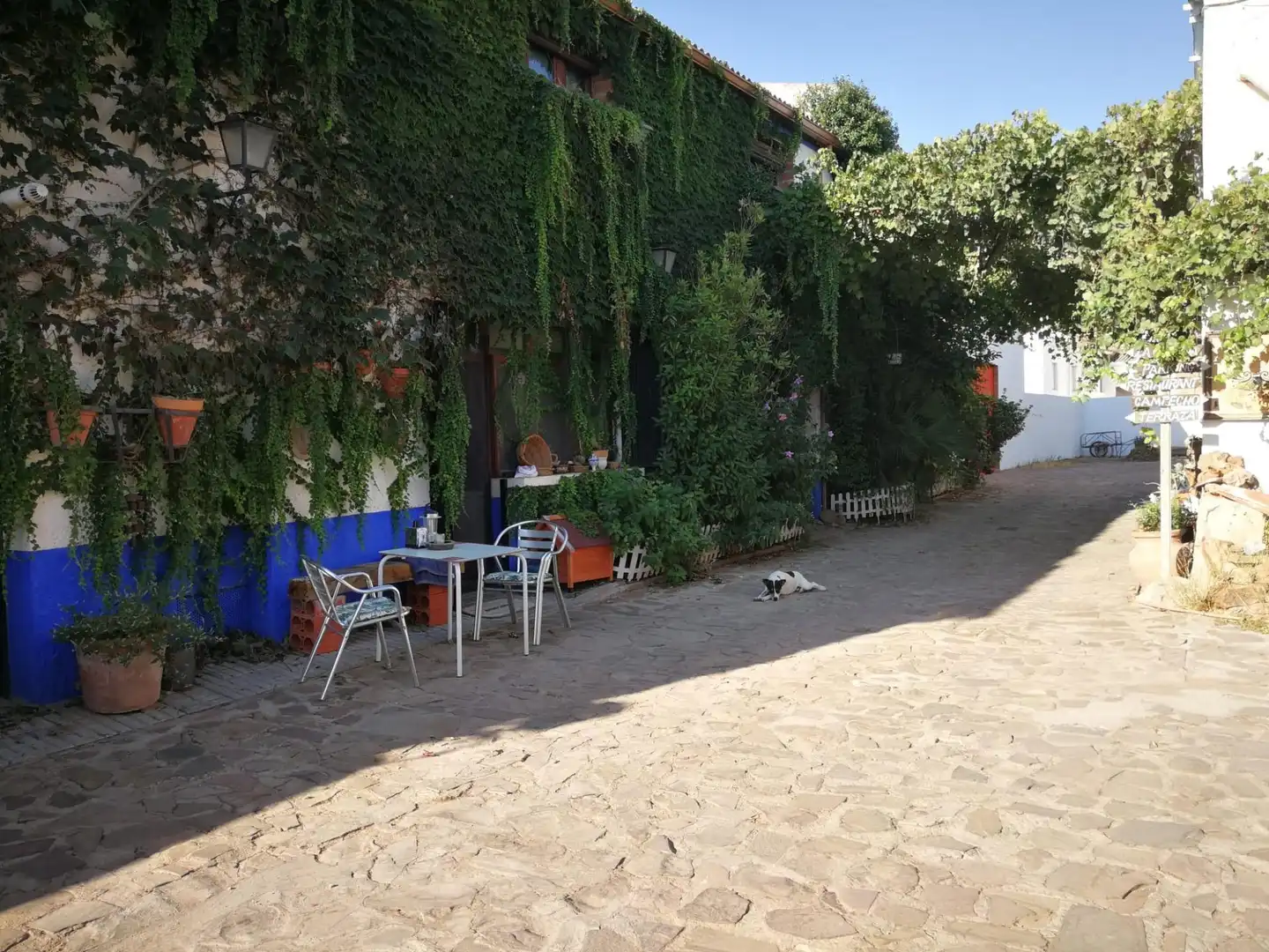 Vista exterior de Edificio en venta en Villanueva de los Infantes (Ciudad Real)
