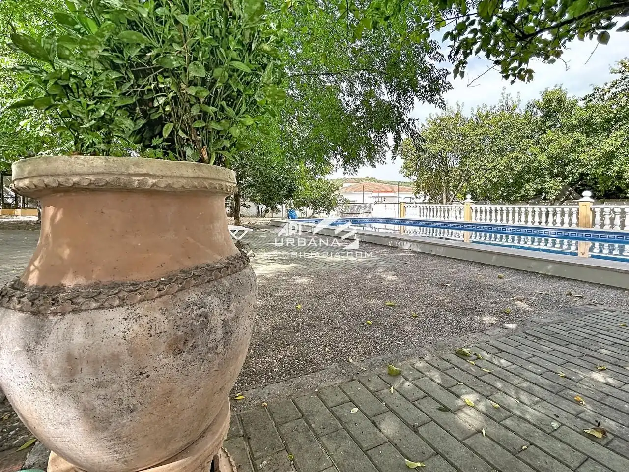 Vista exterior de Casa o chalet en venta en Lucena con Aire acondicionado, Jardín privado y Terraza