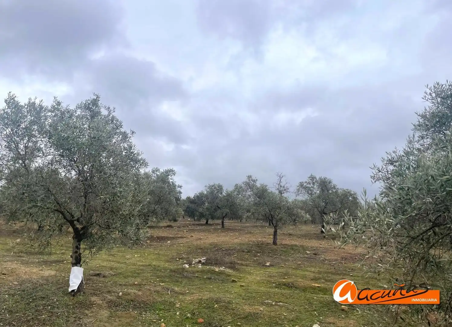 Terrenos y solares en venta en Alameda, imagen 48