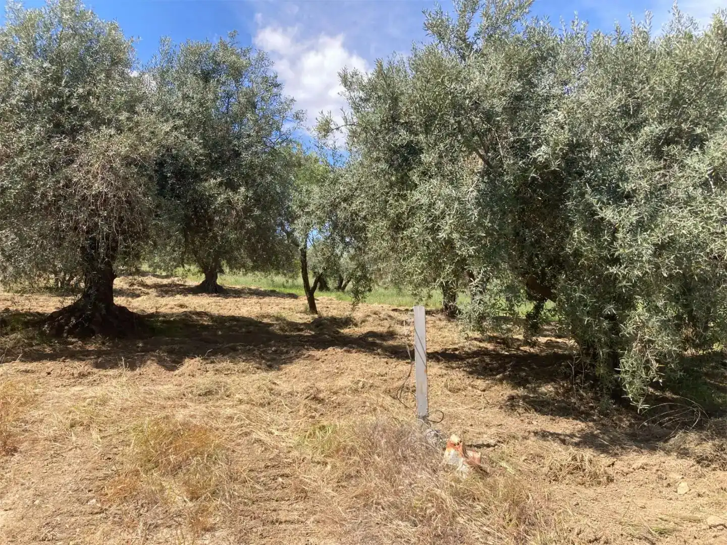 Finca rústica en venda en Güéjar Sierra