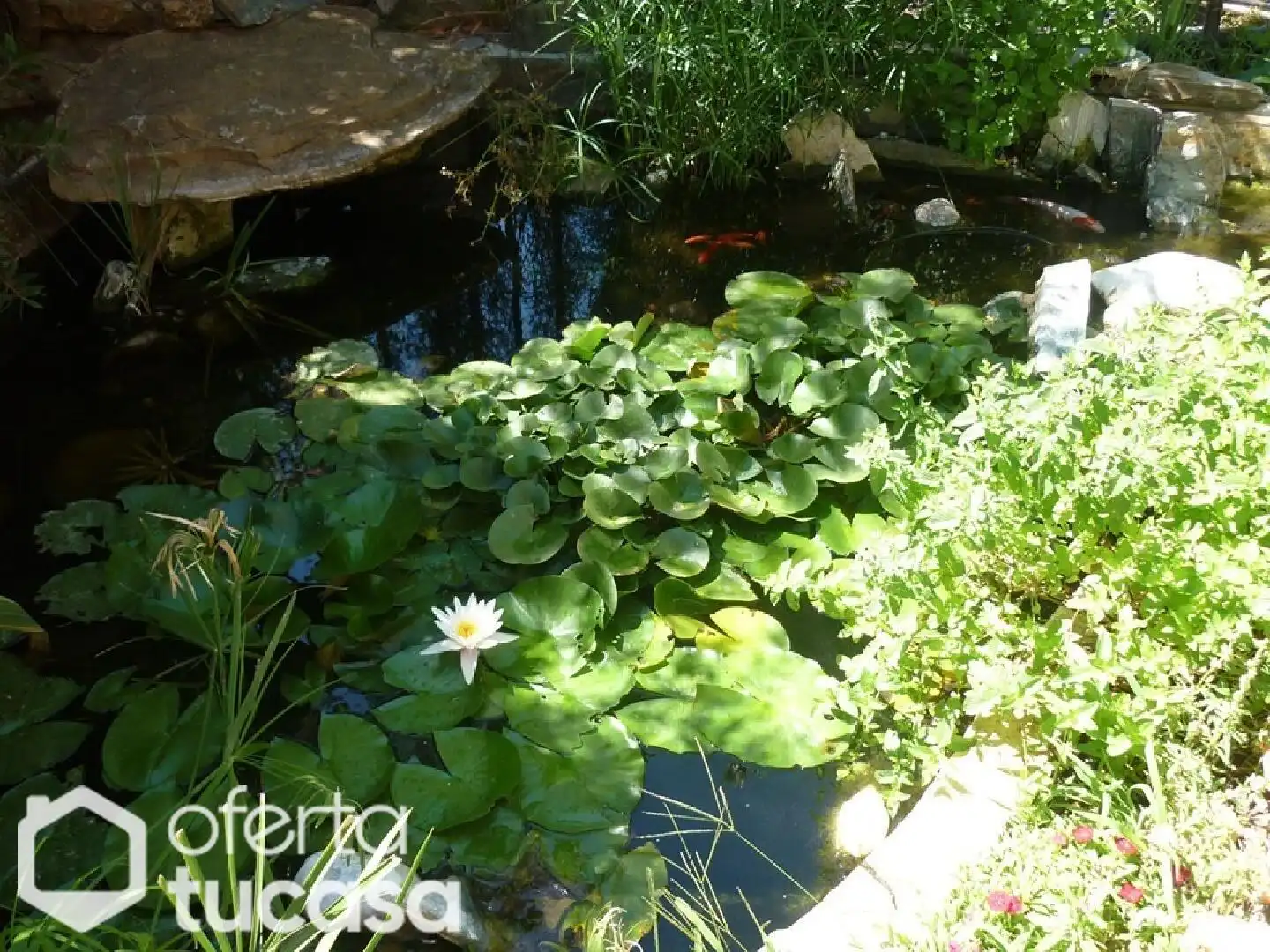 Jardín de Piso en venta en Baeza con Jardín privado, Terraza y Piscina