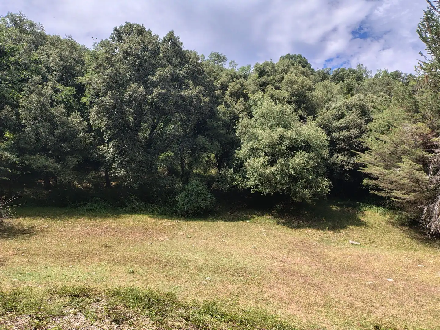 Finca rústica en venda en Urduña / Orduña