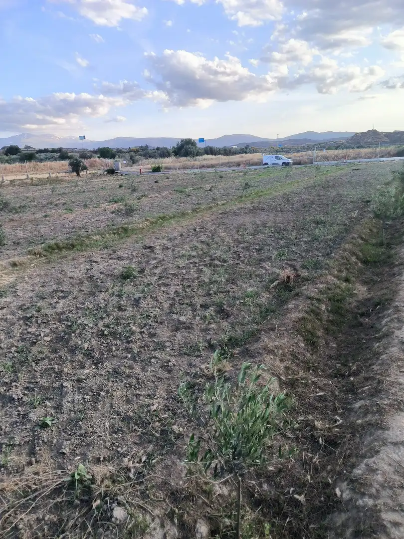 Rural land for sale in Purullena, imagen 6