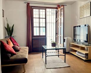 Living room of Apartment to share in  Sevilla Capital  with Air Conditioner, Heating and Terrace