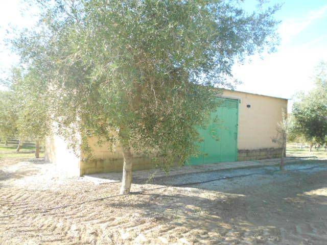 Terreno en Venta en  Chimeneas en Chimeneas