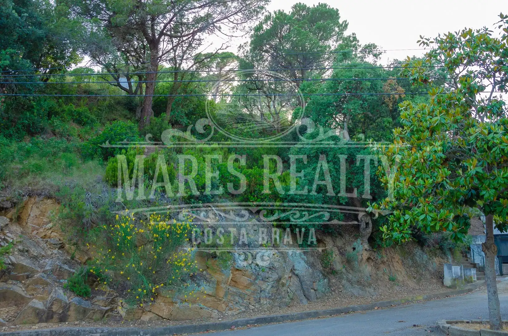 Vista exterior de Residencial en venta en Tossa de Mar