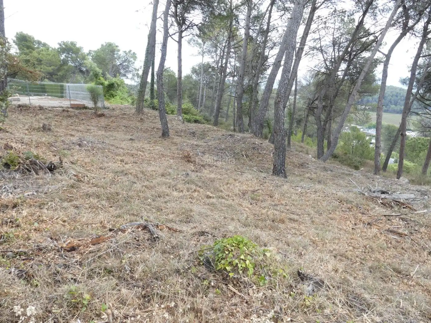 Terreny residencial en venda a Calle Dalt 384, imagen 5