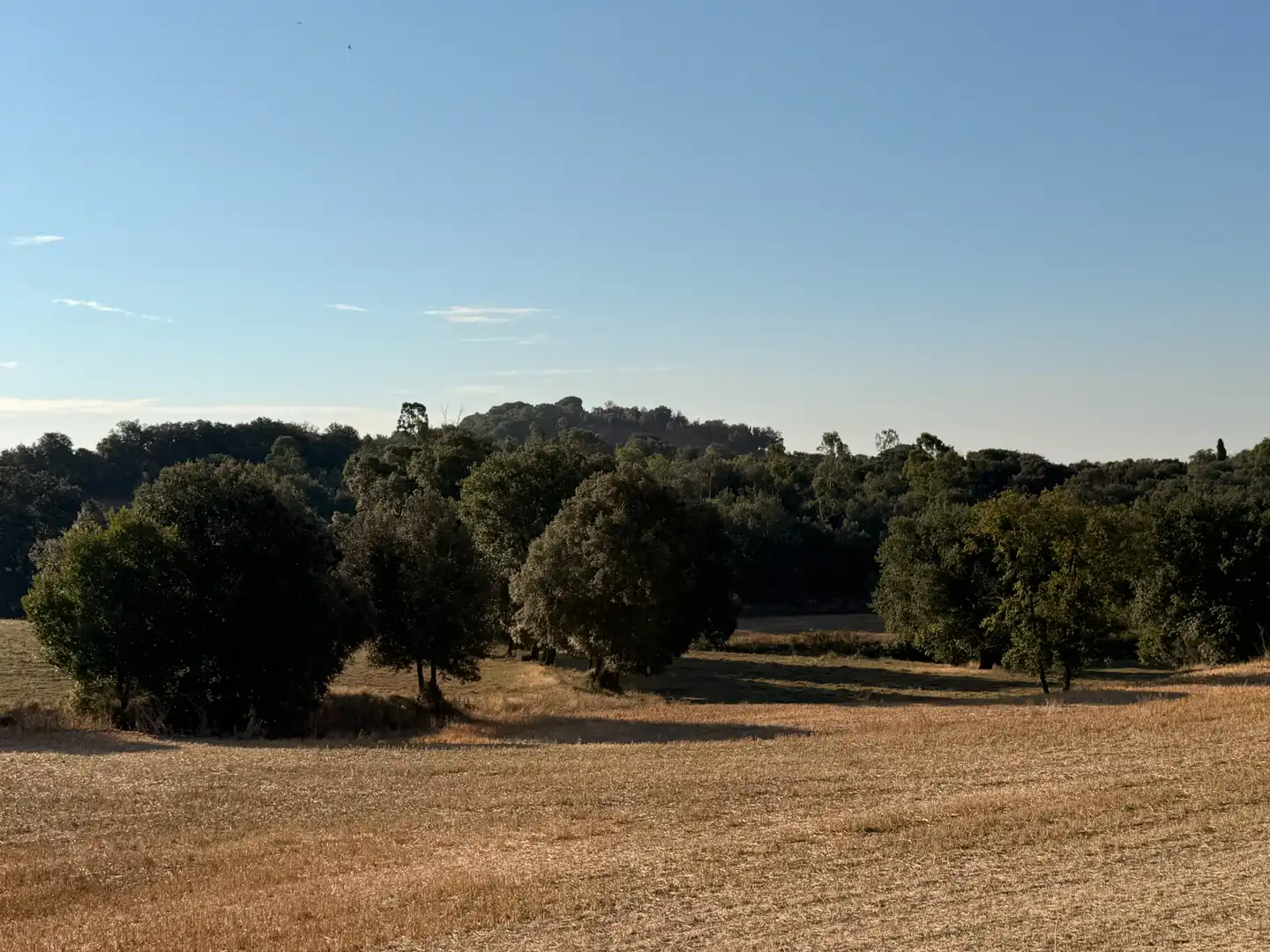 Finca rústica en venda en Vilobí d'Onyar