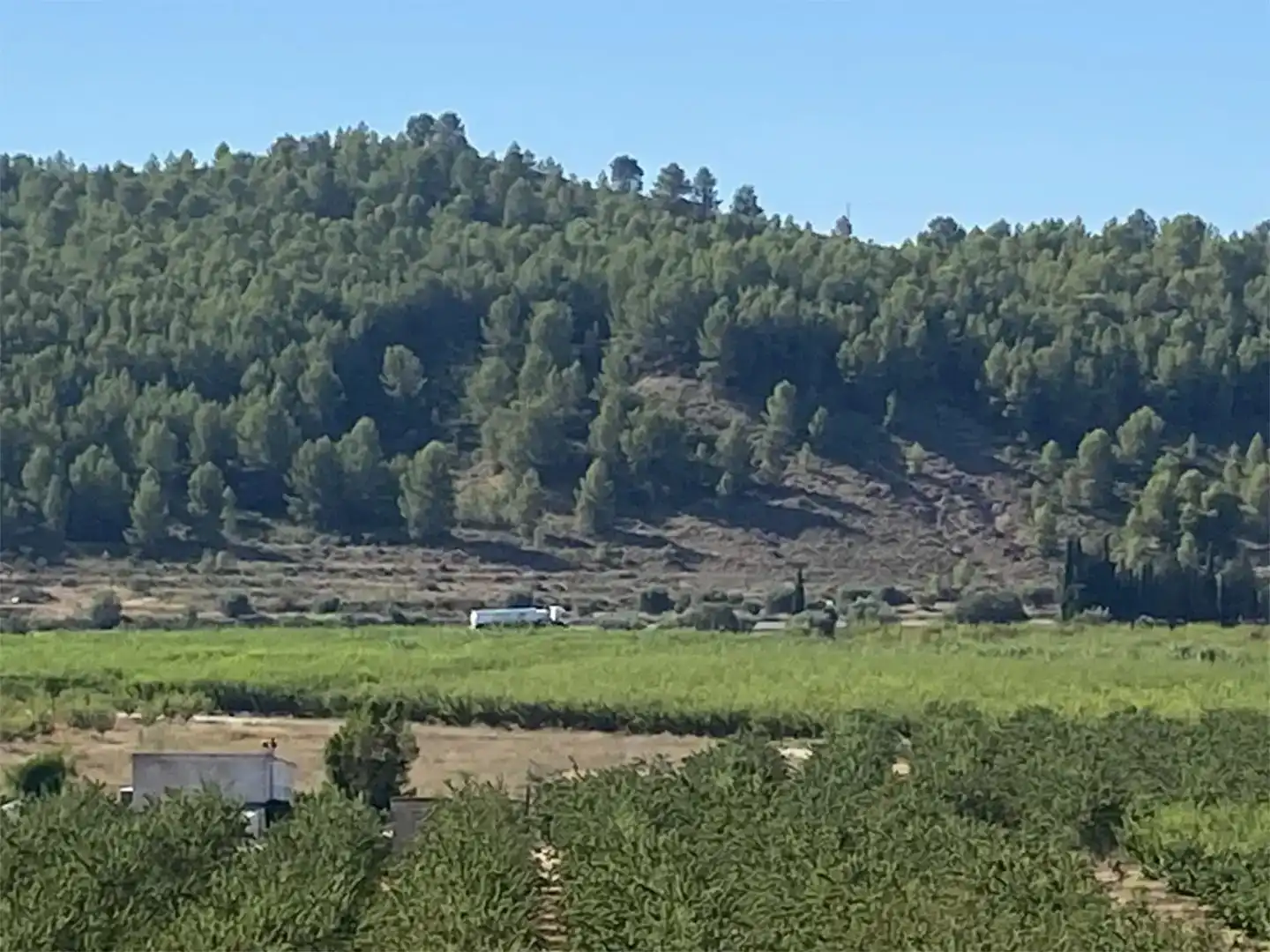 Terreno industrial en venta en Caravaca de la Cruz