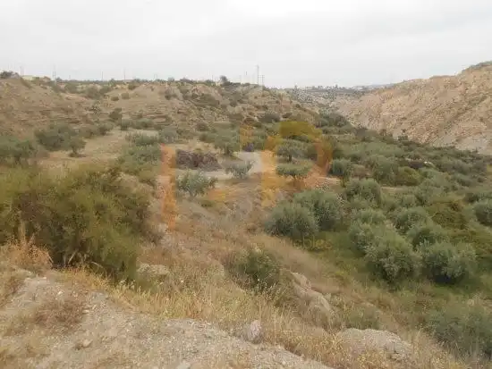 Terrain rustique à vendre à Huércal-Overa, imagen 5