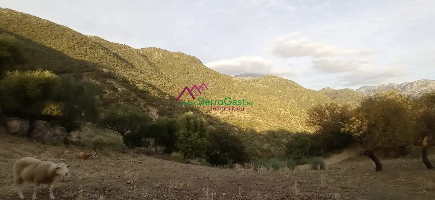 Terreni e lotti in vendita a Benaocaz, imagen 50
