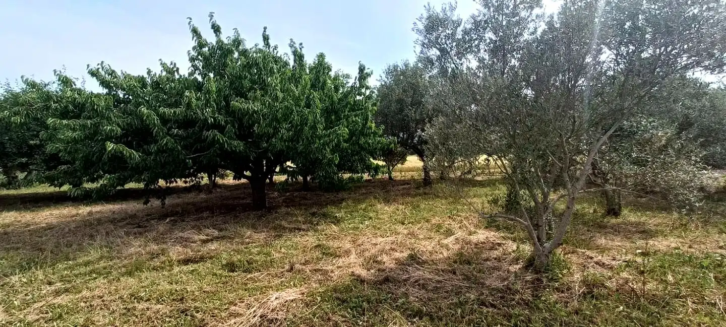 Finca rústica en venta en Mendavia con Jardín privado
