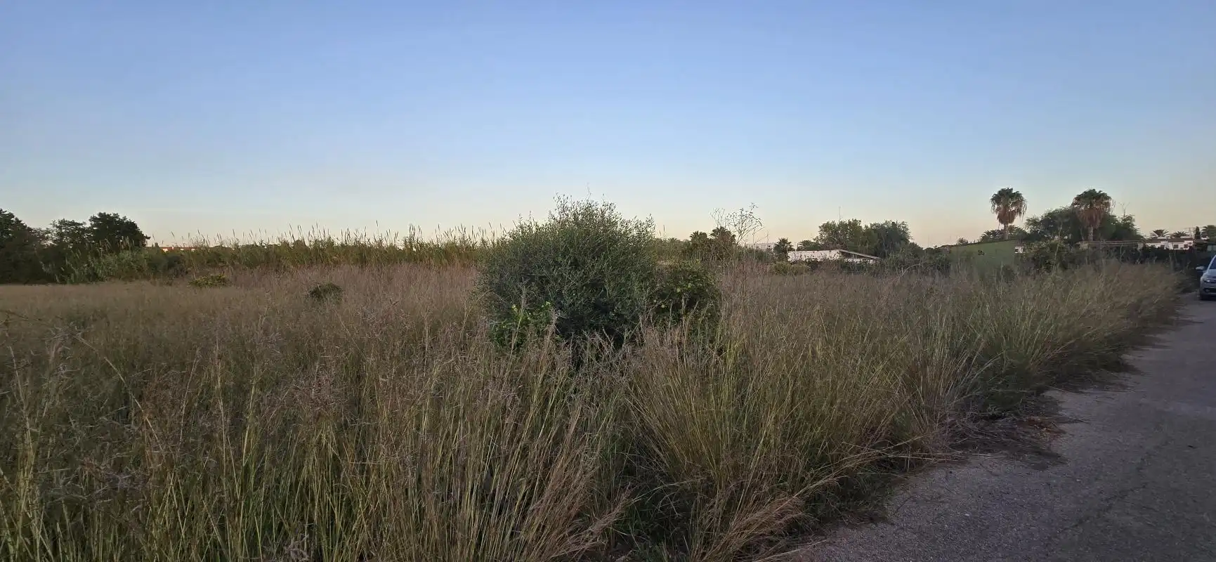 Grundstücke zum Verkauf in Dénia