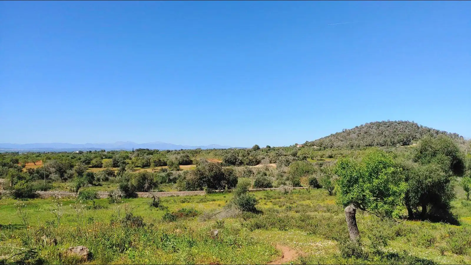 Residential land for sale in Polígono Polígono 33 Parcela 436, imagen 8